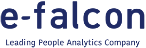 e-falcon Leading Analytics Company